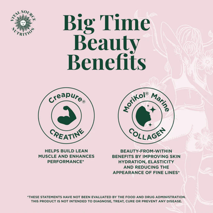 Creatine & Collagen Stick Packs