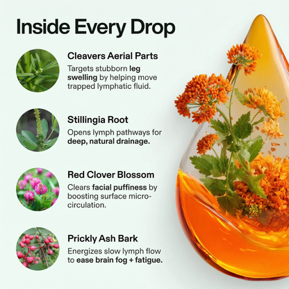 Lymphatic Reset Complex Drops – Feel Lighter & Less Swollen in 16 Days or Less